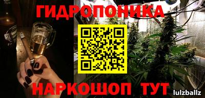 гидропоника Заводоуковск