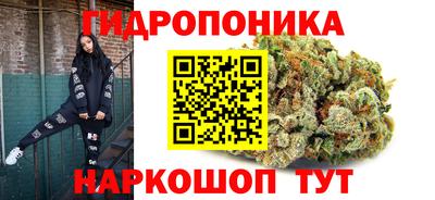 гидропоника Заводоуковск